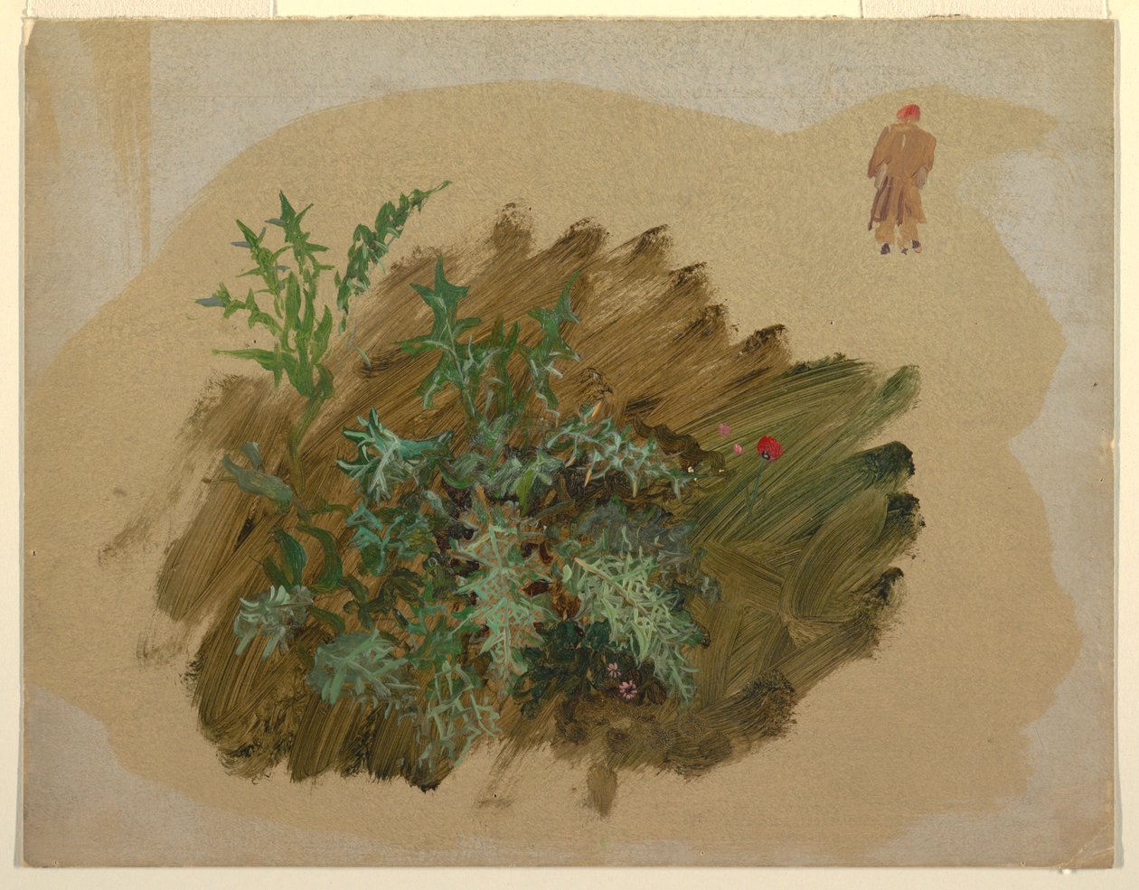 Kresba, Studie rostlin, 1865 od Frederic Edwin Church
