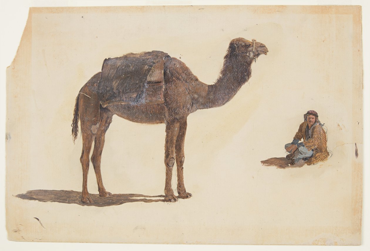 Kresba, Studie dromedára, 1868 od Frederic Edwin Church