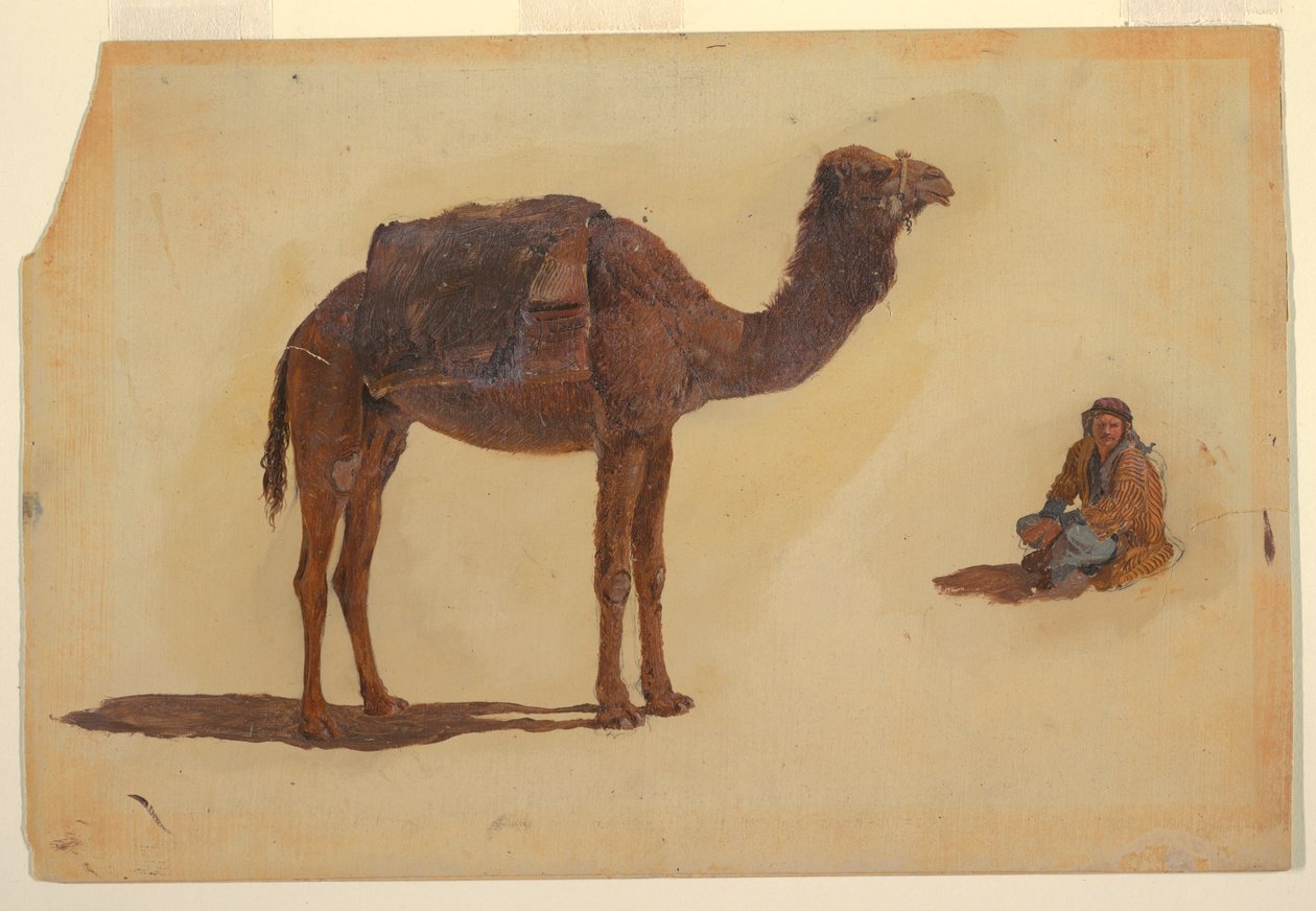 Kresba, Studie dromedára, 1868 od Frederic Edwin Church