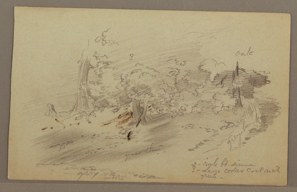 Kresba, Stromy, pravděpodobně 60. léta 19. století od Frederic Edwin Church