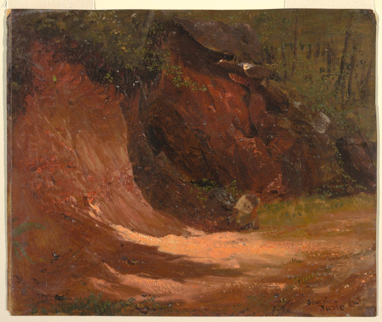 Kresba, Woodland bank, Jamajka, červen 1865 od Frederic Edwin Church