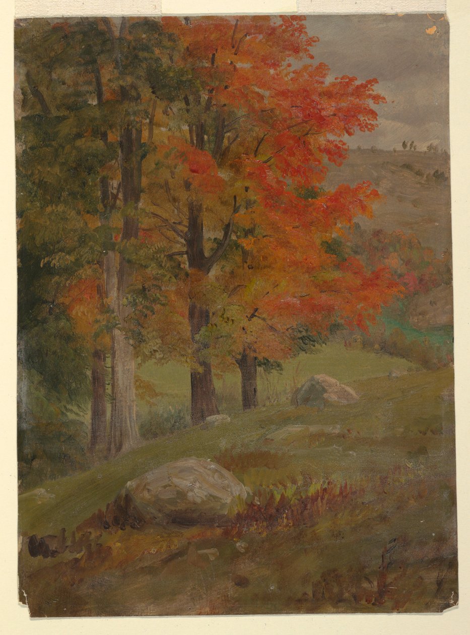 Kresba, Les na podzim, 1865 od Frederic Edwin Church