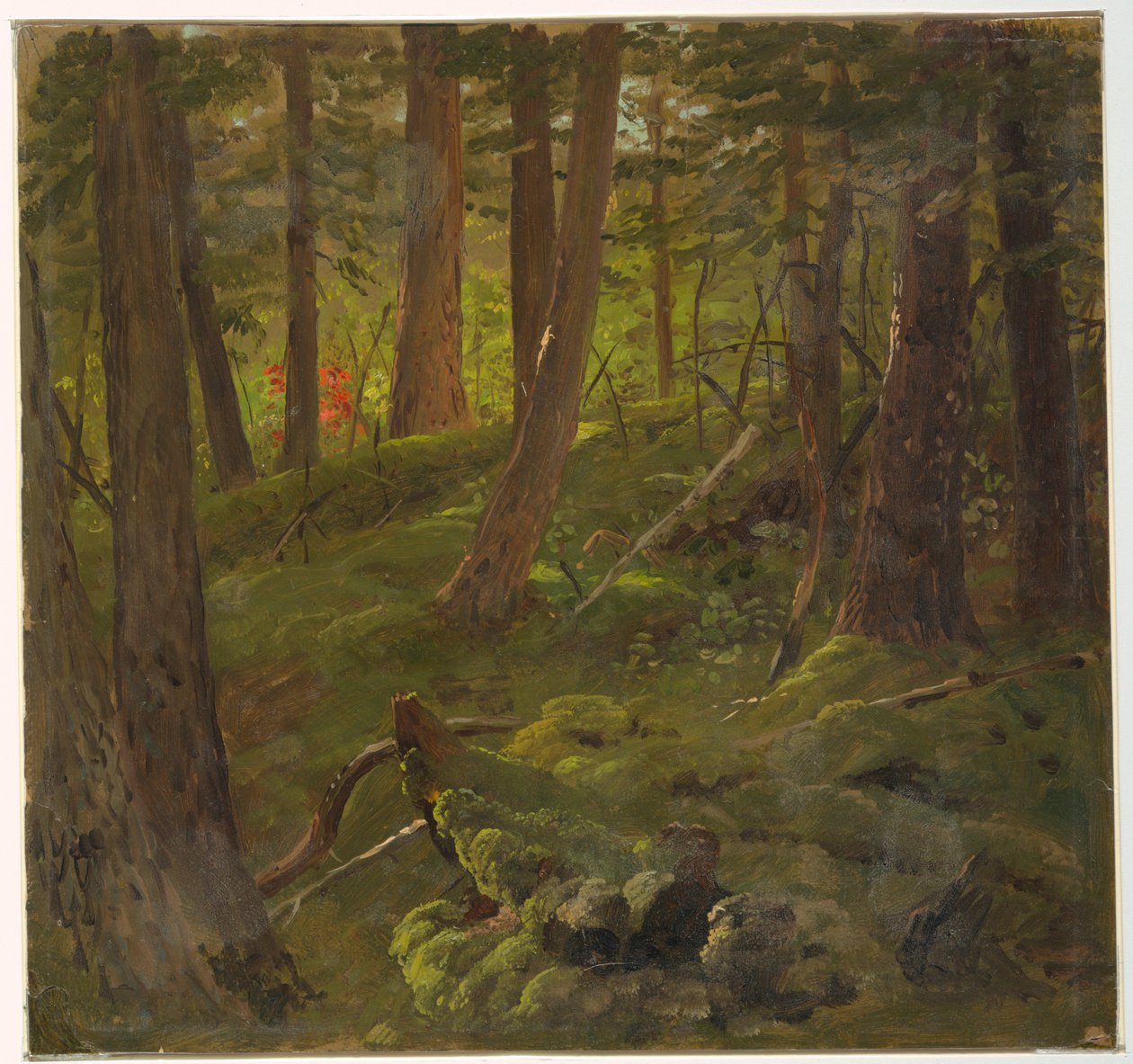 Les na Jamajce od Frederic Edwin Church