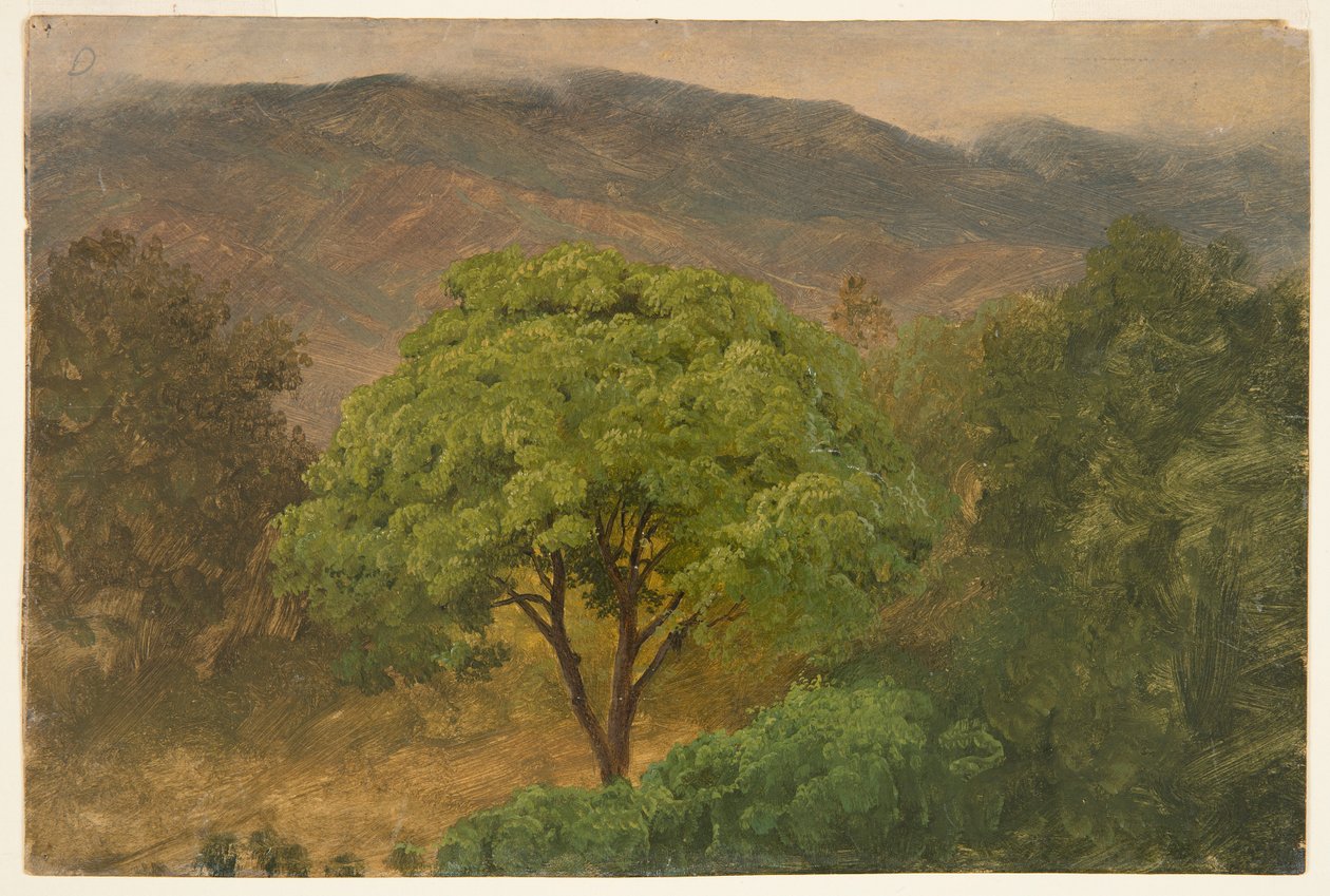 Genip Tree v horách, Jamajka od Frederic Edwin Church