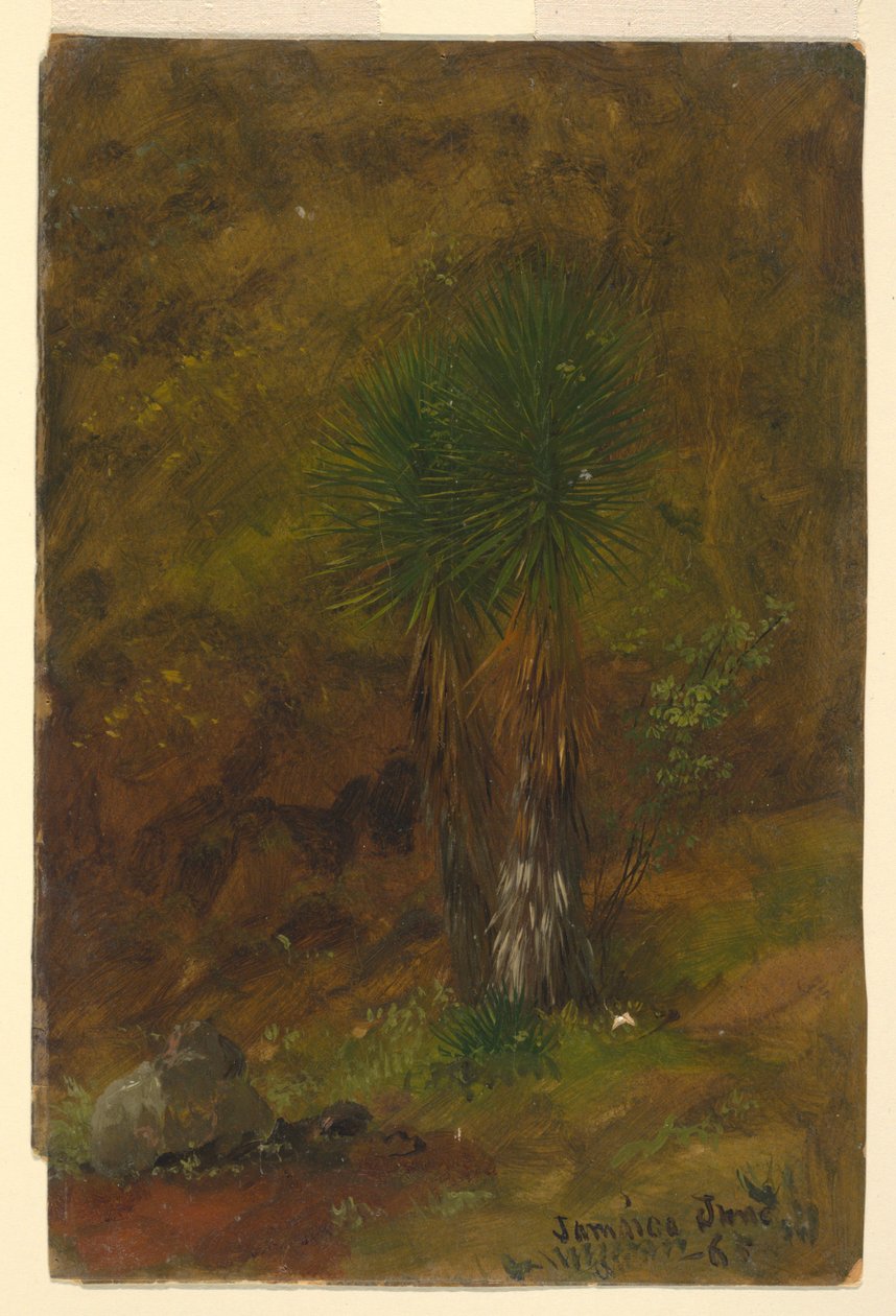 Palmy, Jamajka od Frederic Edwin Church