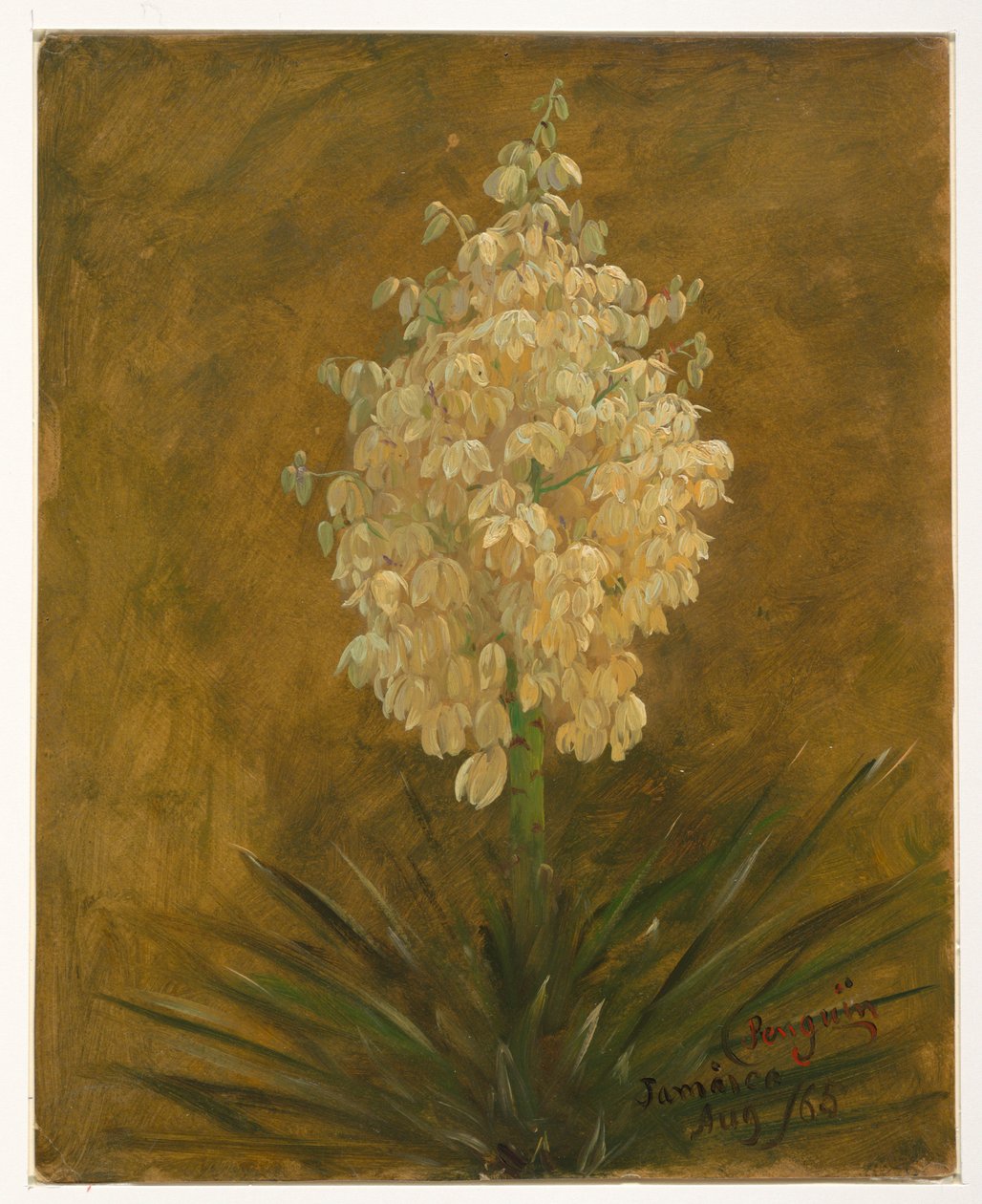 Penguin Plant   1258564   cs       czech Successfully Translated  Original: Herkules og Antaeus Translat: Herkules og Antaeus 1275956 cs czech Successfully Translated Original: John Translat: John 1238144 cs czech Successfully Translated Original: An Old S od Frederic Edwin Church