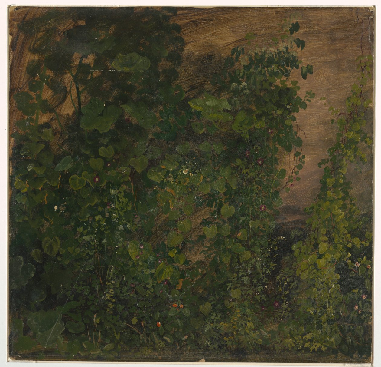 Philodendron Vines, Jamajka od Frederic Edwin Church