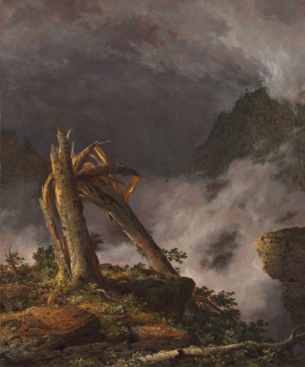 Bouře v horách od Frederic Edwin Church