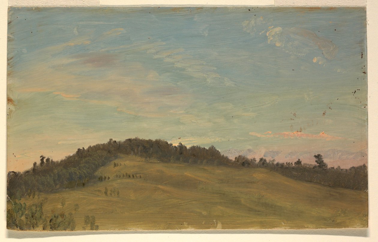 Letní krajina od Frederic Edwin Church