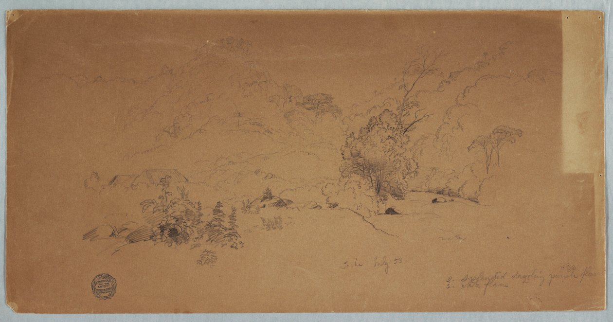 Pohled na Toche, Kolumbie od Frederic Edwin Church