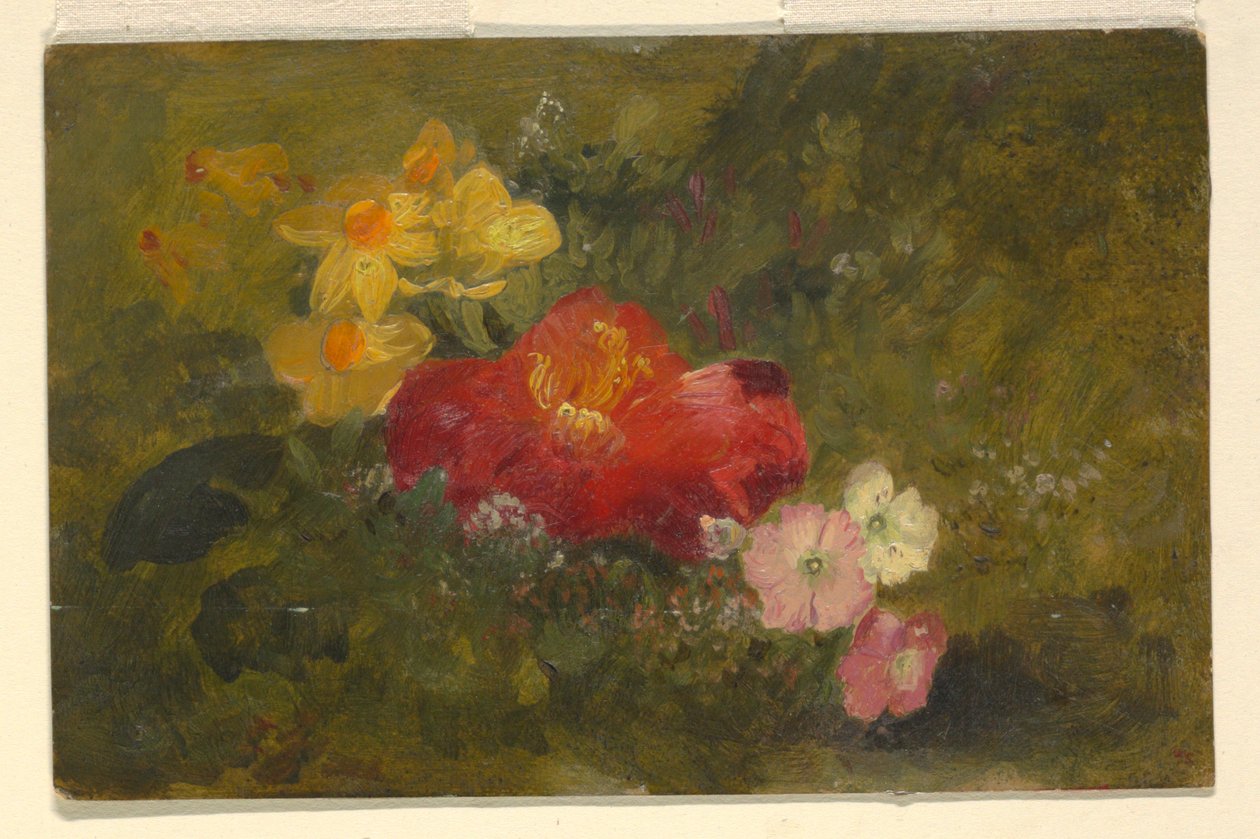 Divoké květiny, Jamajka od Frederic Edwin Church