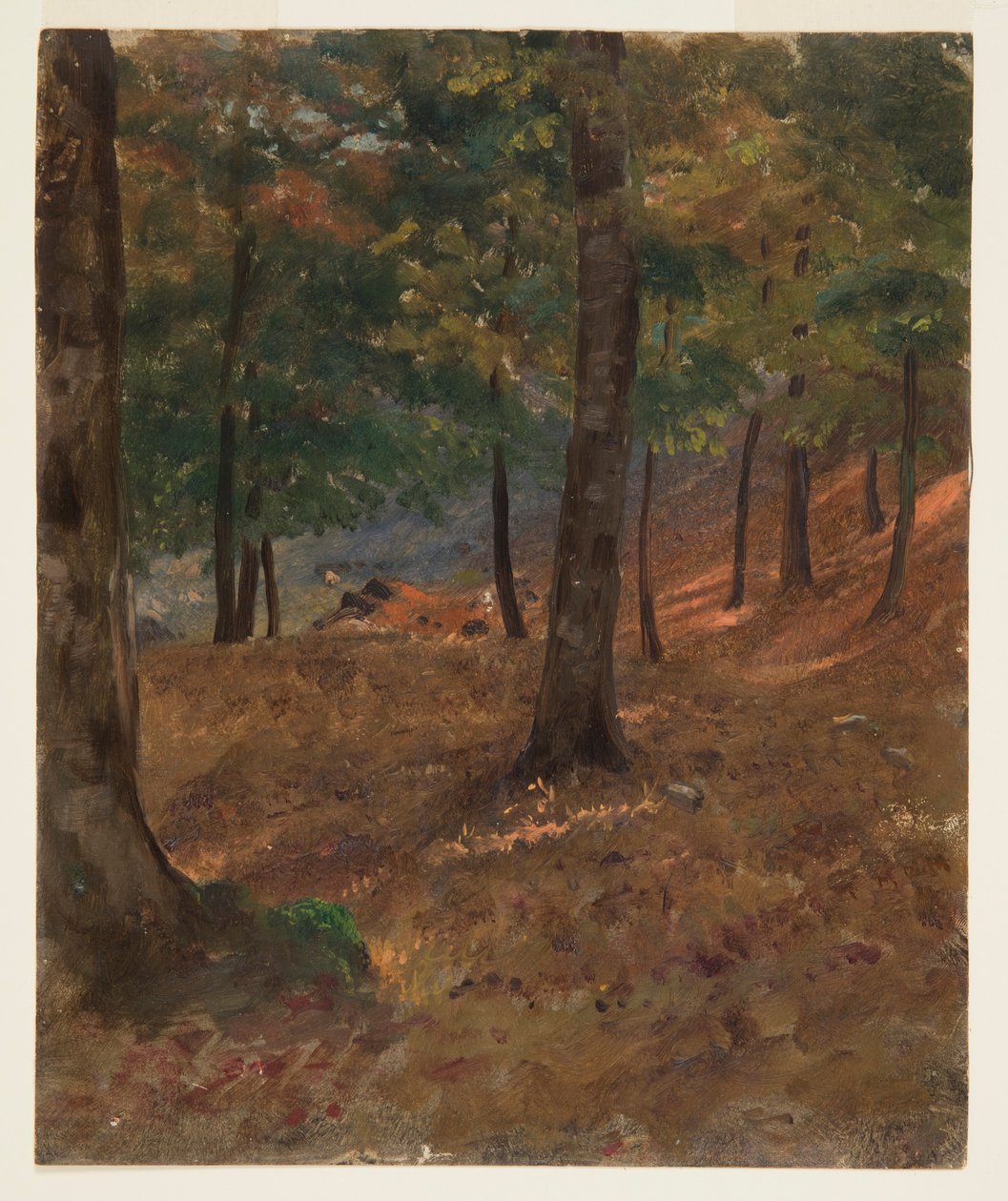 Woodland Scene   1239442   cs       czech Successfully Translated  Original: Studie af egetræer Translat: Studie af egetræer 1292572 cs czech Successfully Translated Original: Gezicht op Post Gelderland en Joden Savannah Gezigten uit Neerlands West-Indien  od Frederic Edwin Church