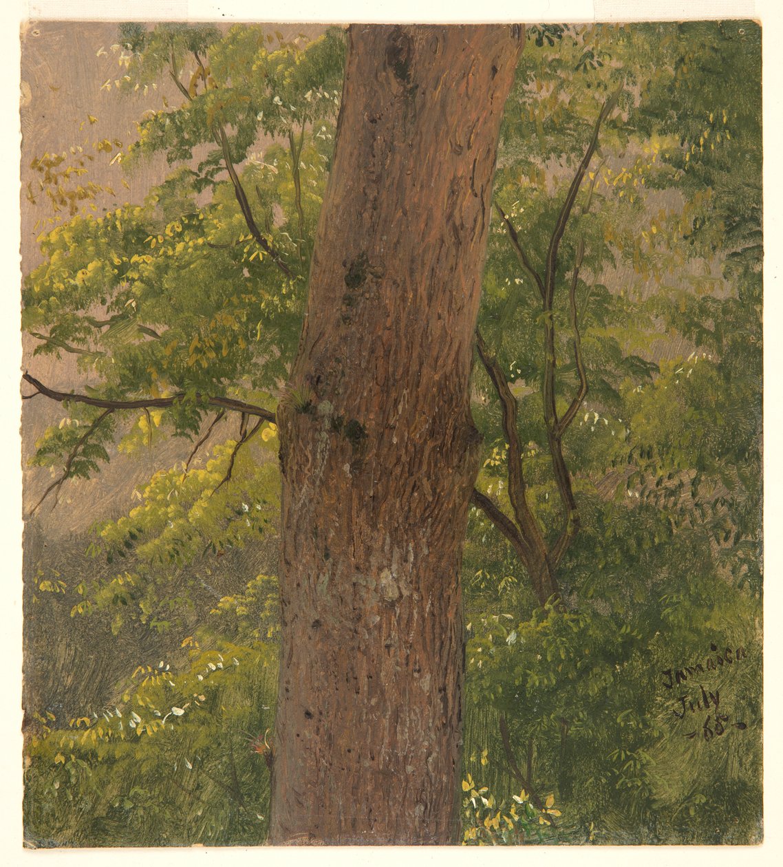 Woodland Study, Jamajka od Frederic Edwin Church