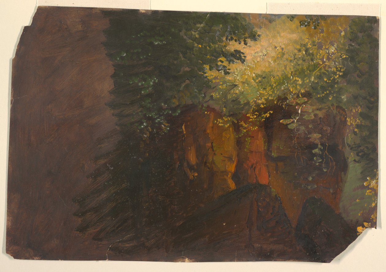 Lesní scéna s kameny od Frederic Edwin Church