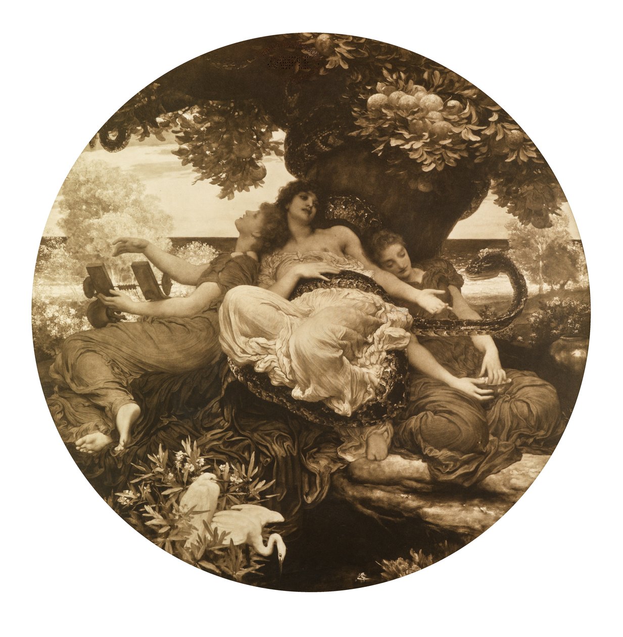 Zahrada Hesperidek (hlubotisk) od Frederic Leighton
