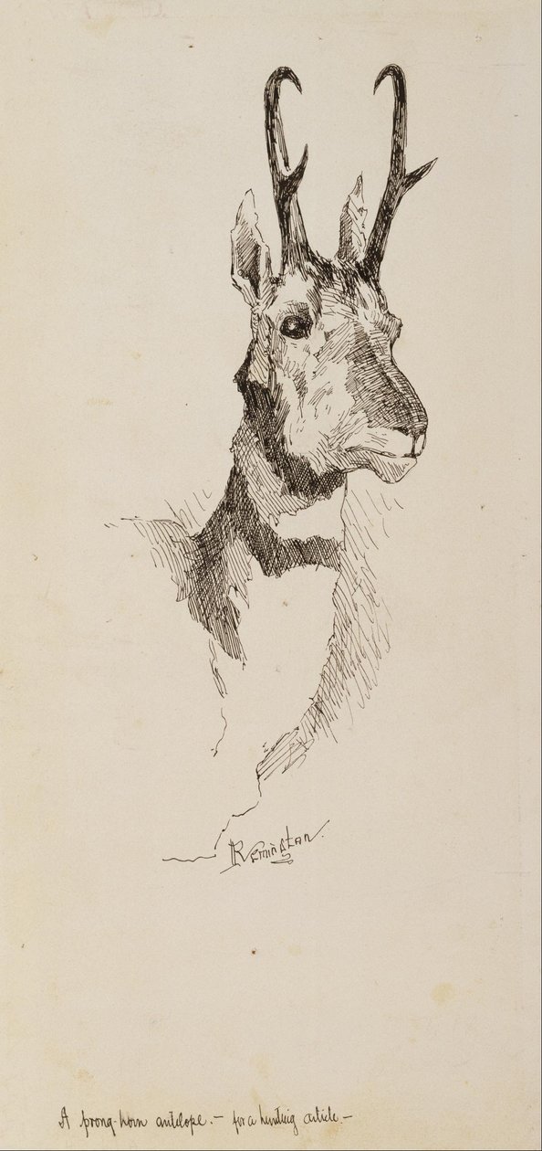 Antilopa pratur od Frederic Remington
