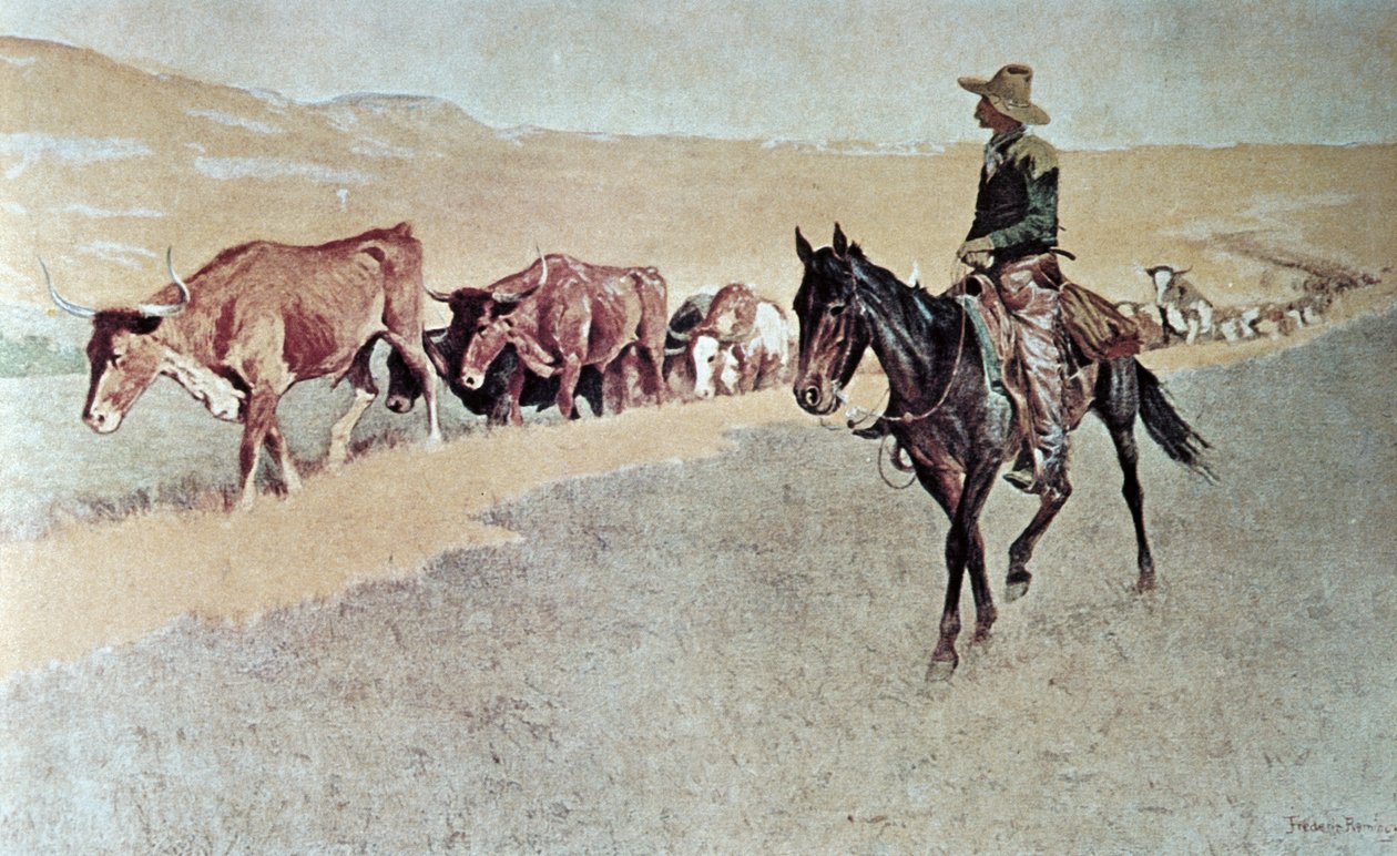 Trailing Texas Longhorns (olej na plátně) od Frederic Remington
