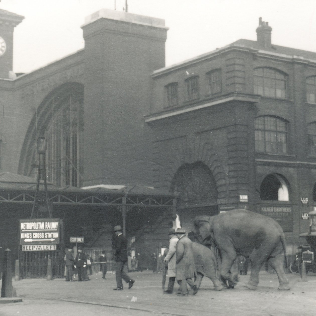 Sloni jdoucí z doků kolem stanice Kings Cross na cestě do ZSL London Zoo, září 1927. od Frederick William Bond