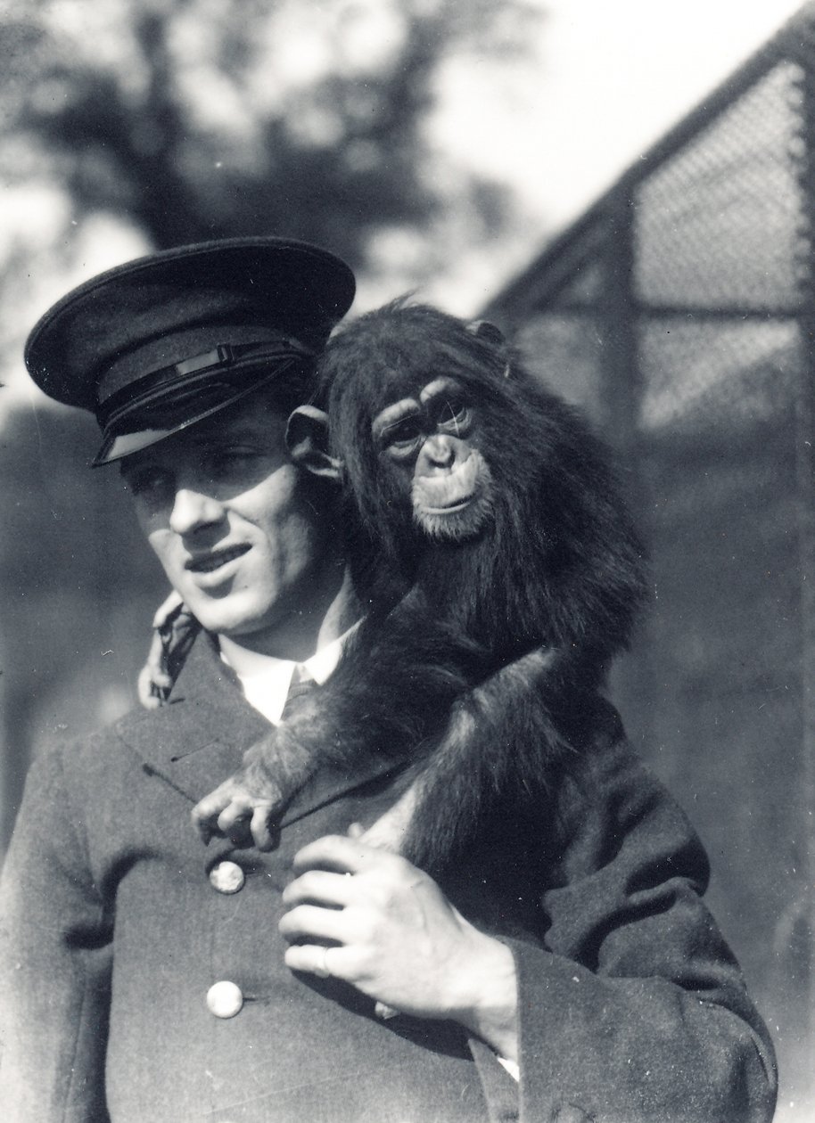 Chovatel F. Shelly se šimpanzem Johnnie nebo Marco v ZSL London Zoo od Frederick William Bond