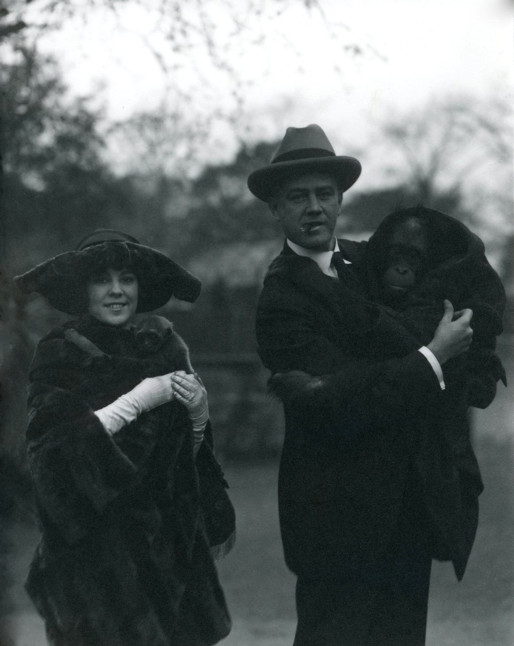 Osa a Martin Johnsonovi s orangutanem a gibonem, Londýnská zoo, říjen 1920 od Frederick William Bond