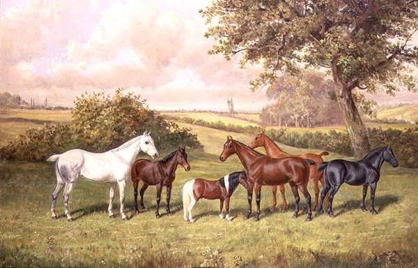 Skupina poníků od Frederick Albert Clark