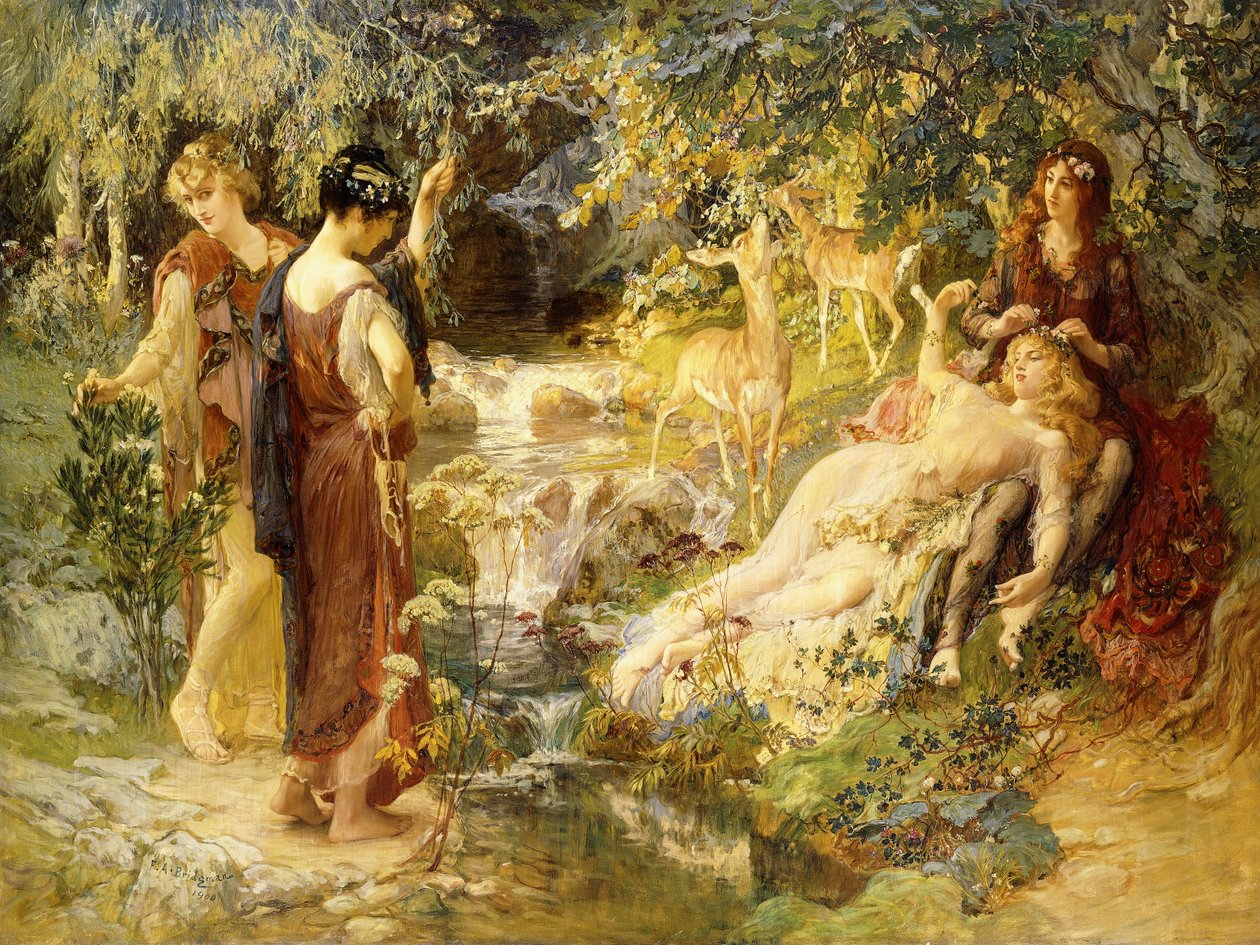 Tajné dřevo, 1900 od Frederick Arthur Bridgman