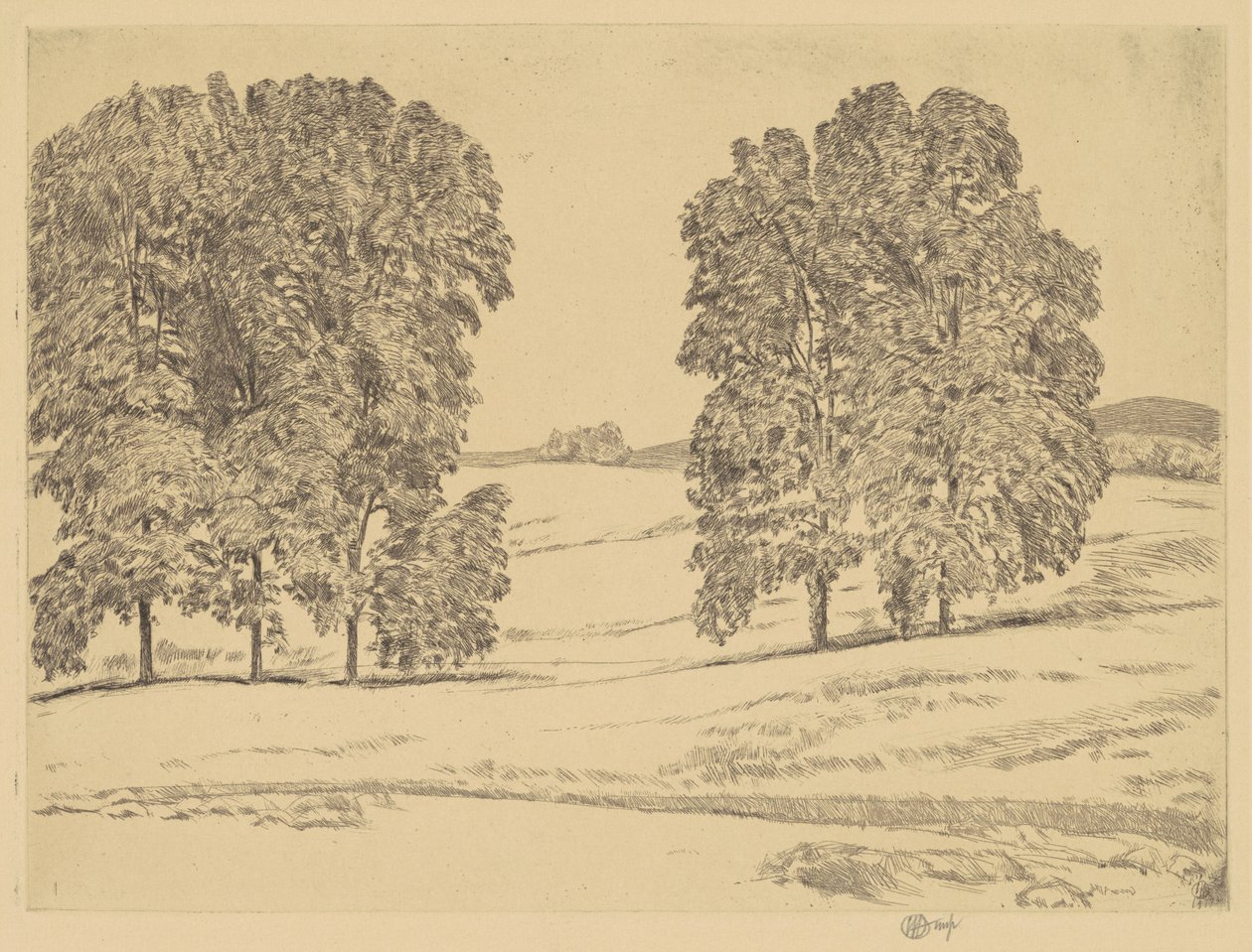 Hickories in a Hayfield, 1917. od Frederick Childe Hassam