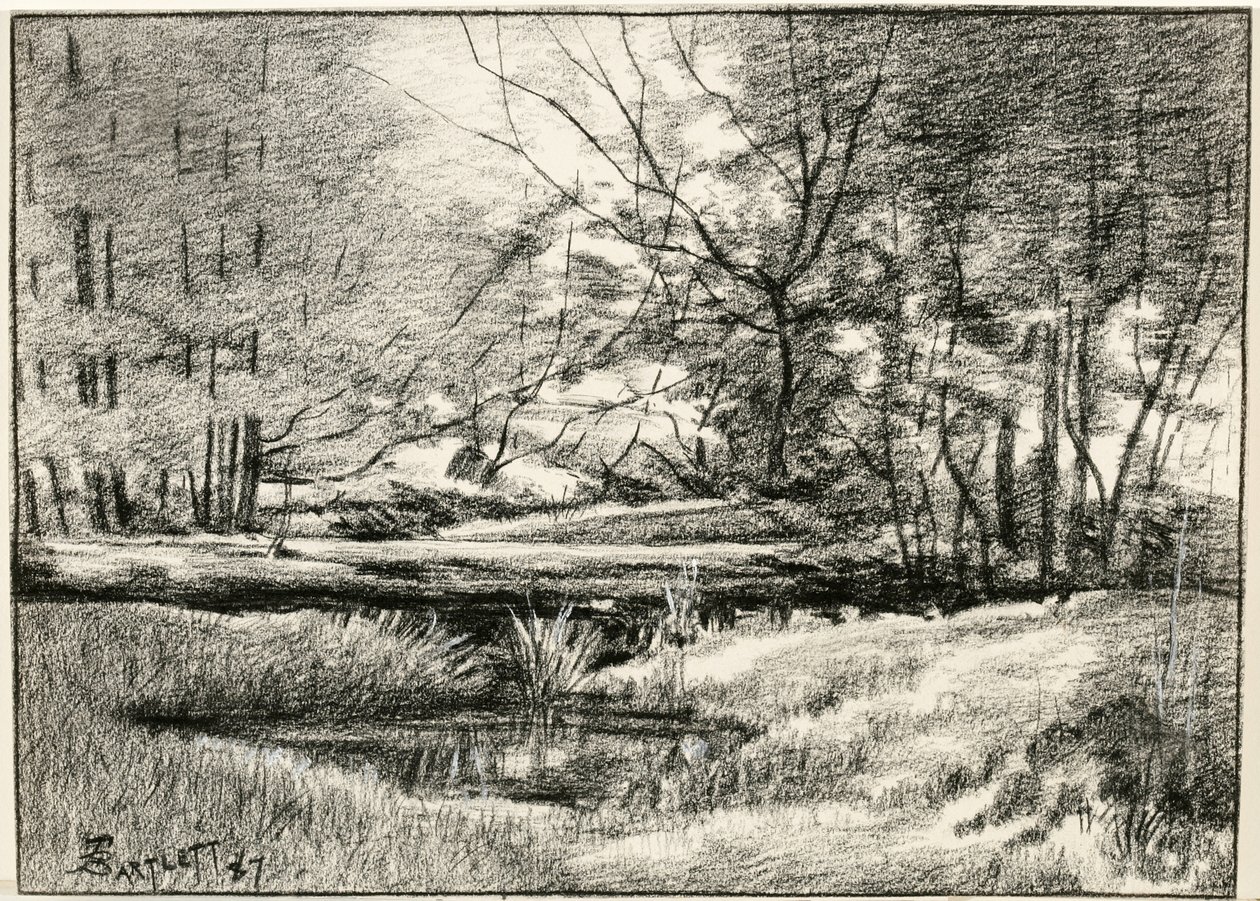 Bazén v Adirondacks od Frederick Eugene Bartlett