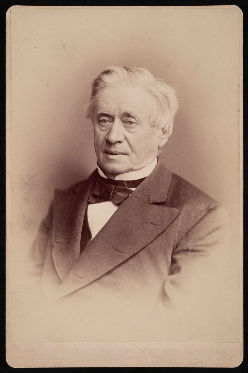 Portrét Josepha Henryho 1797-1878, 1876. od Frederick Gutekunst