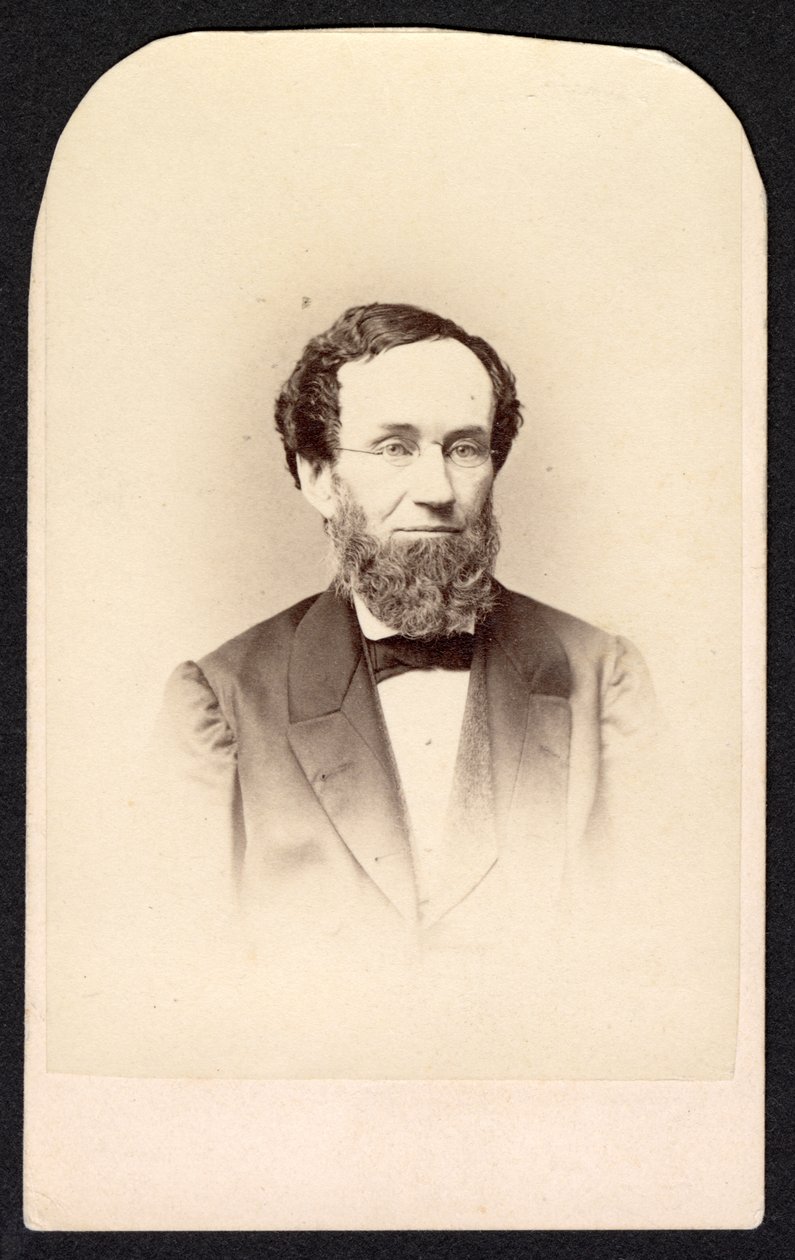 Portrét neznámého muže, cca 1860. od Frederick Gutekunst