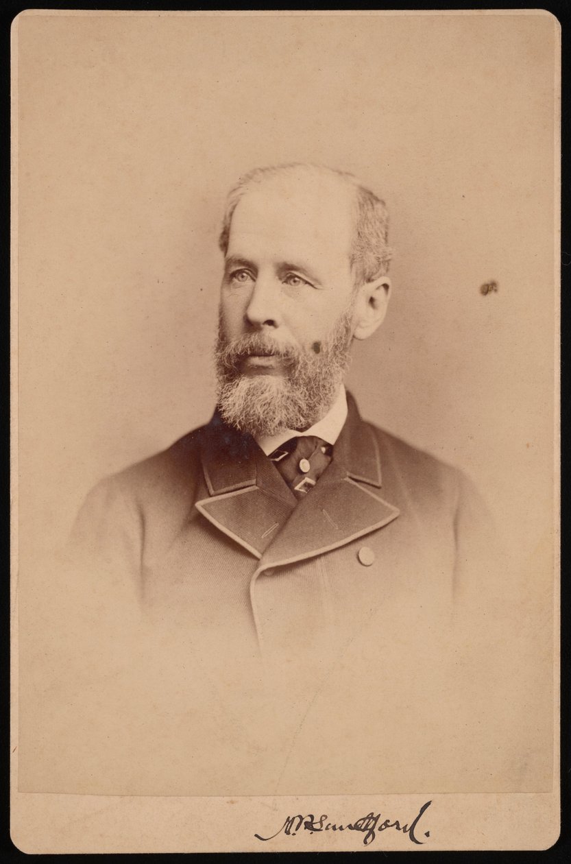 Portrét neznámého muže, říjen 1876. od Frederick Gutekunst
