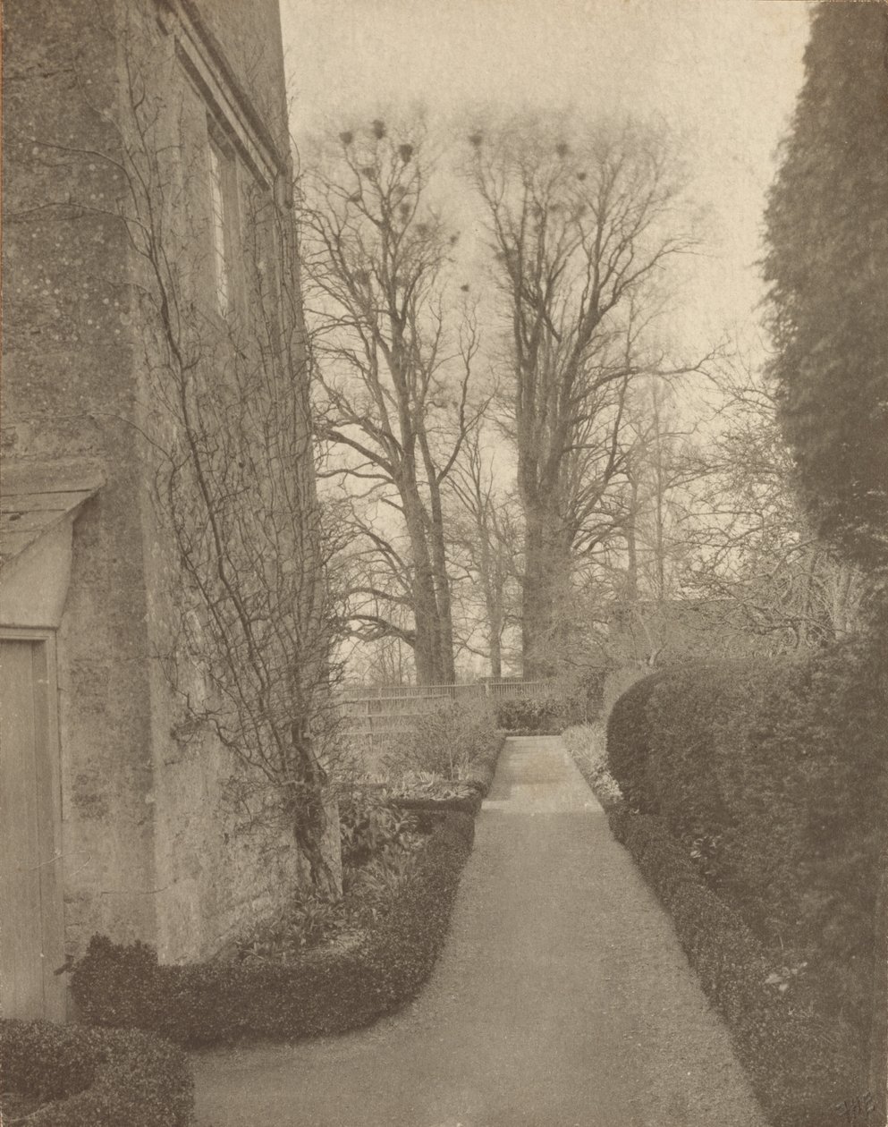Kelmscott Manor: V zahradě od Frederick H. Evans