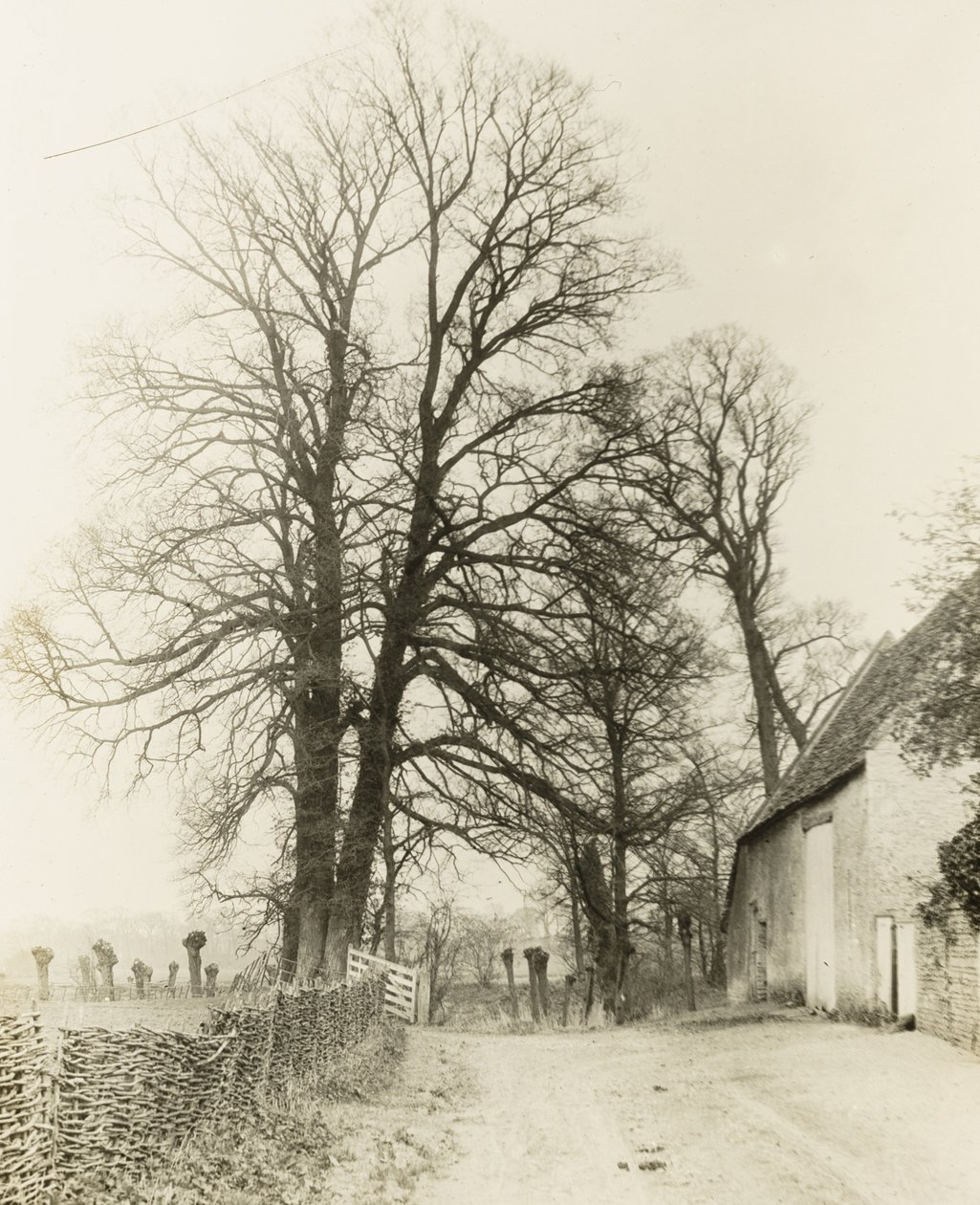 Kelmscott Manor: Cesta a vchod od Frederick H. Evans