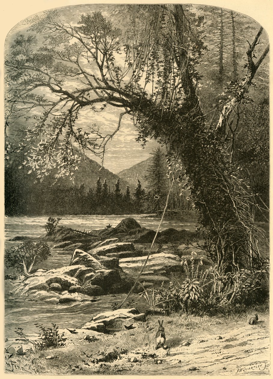 „The French Broad“, 1872. od Frederick William Quartley
