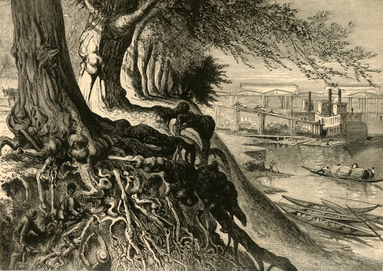 „Savannah, v Augustě“, 1872. od Frederick William Quartley