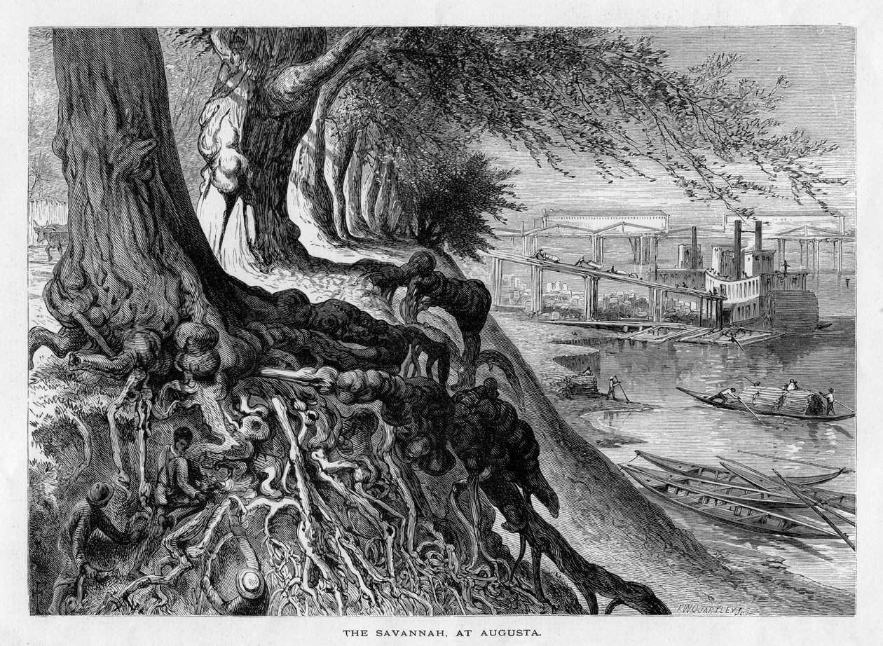 „Savannah, v Augustě“, 19. století od Frederick William Quartley