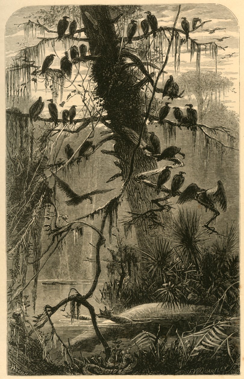 "Čekání na rozklad", 1872. od Frederick William Quartley