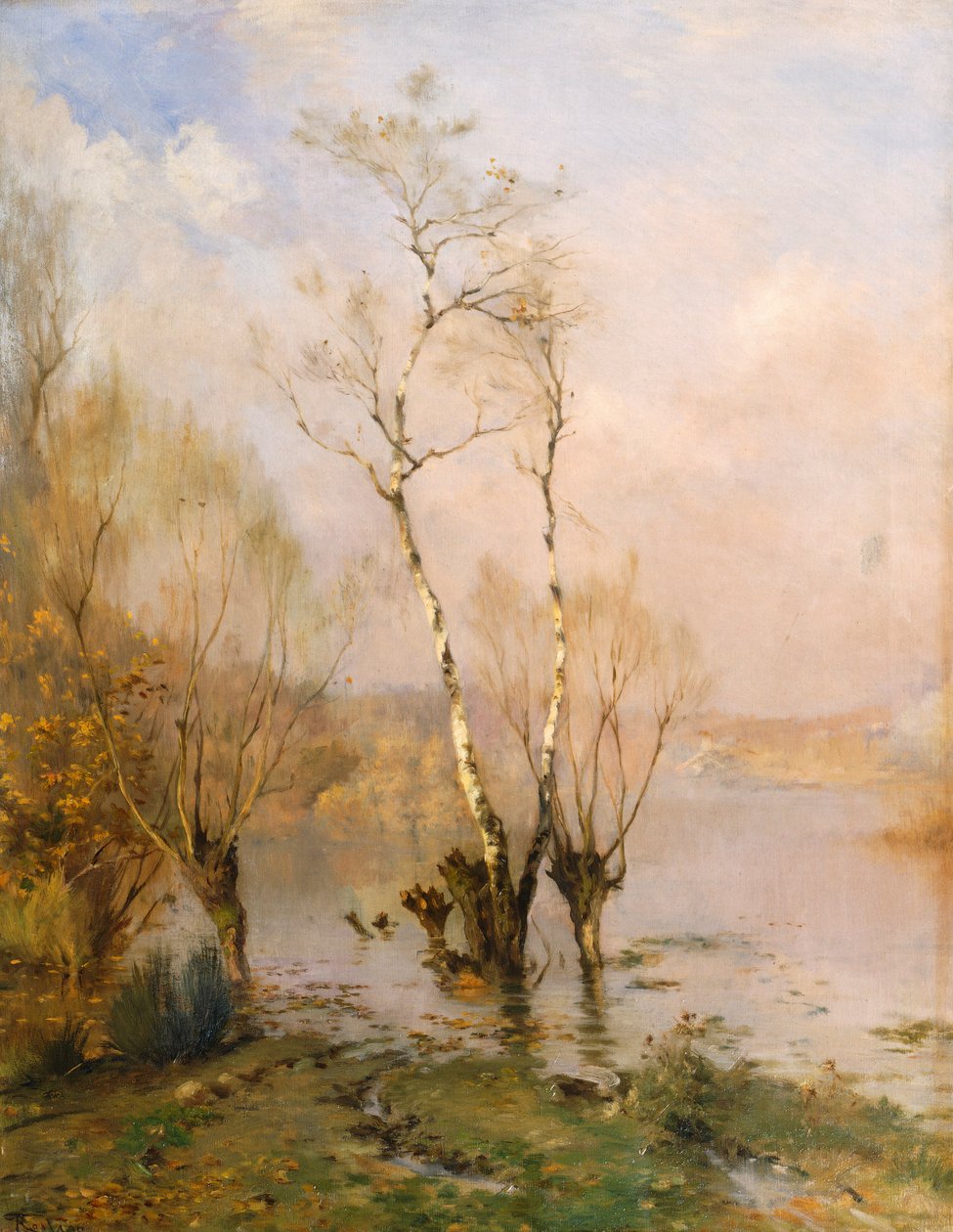 Břízy, autor: Federico Rossano od Frederico Rossano
