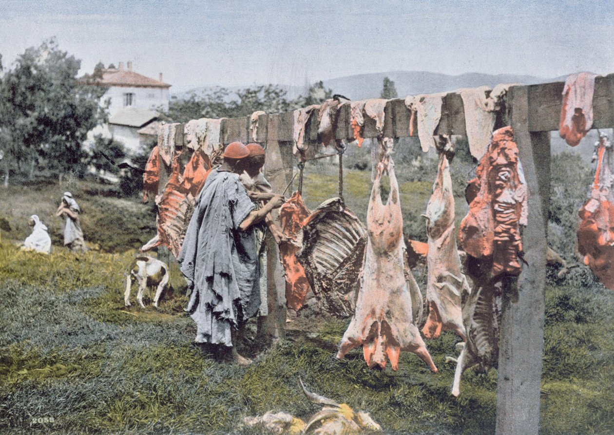 Arabské řeznictví v Alžírsku, konec 19. století od French Photographer