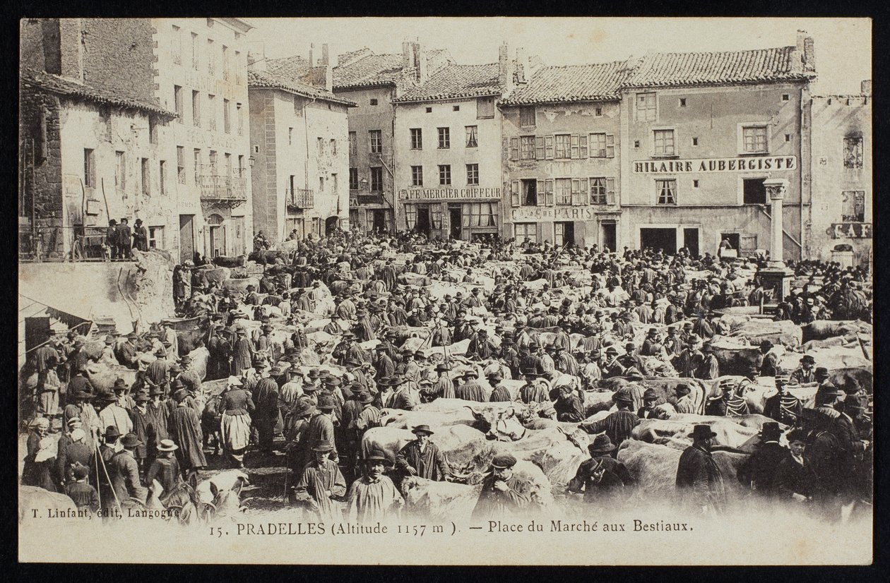 Pohlednice zobrazující dobytčí trh v Pradelles, kolem roku 1900 od French Photographer