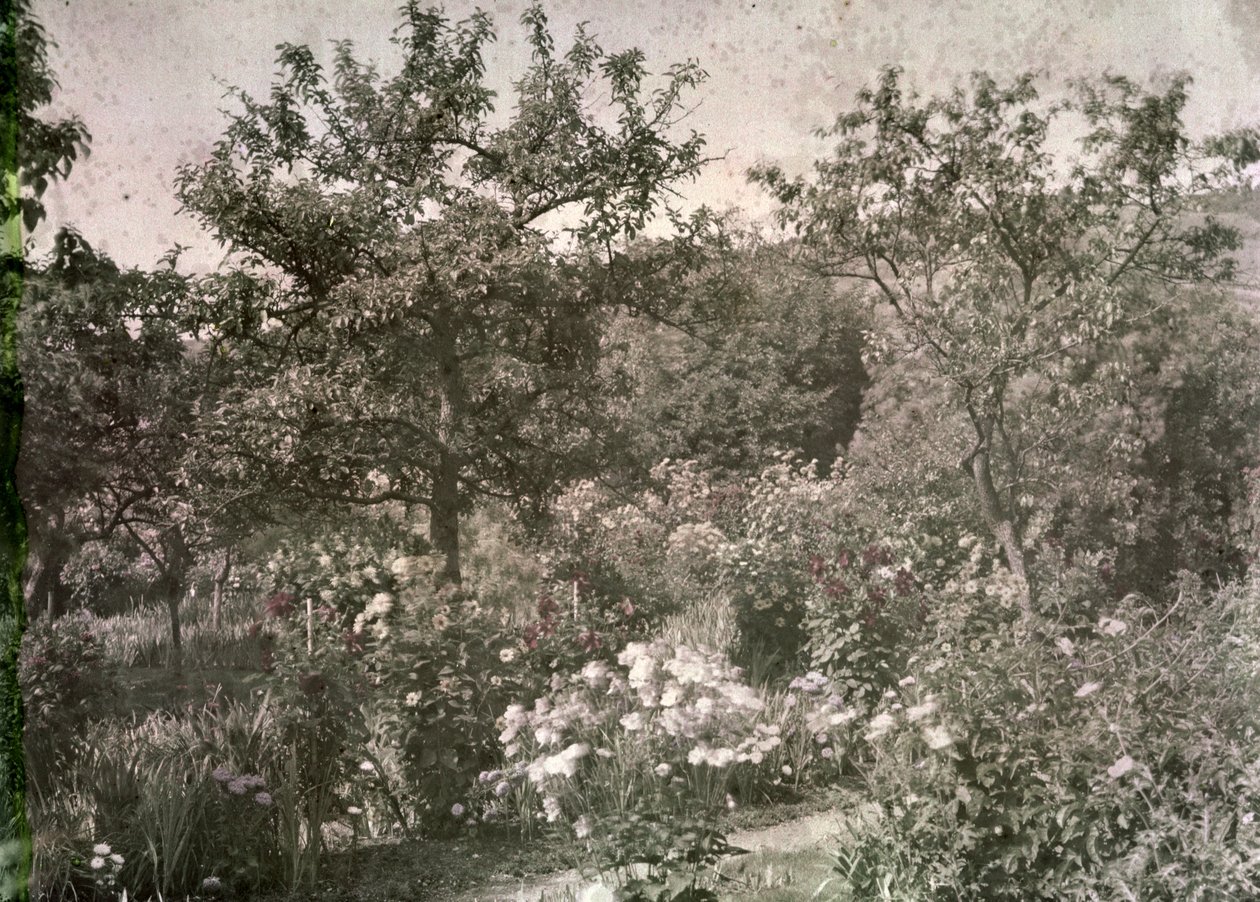 Pohled na Giverny, Monetova zahrada, začátek 20. let 20. století od French Photographer
