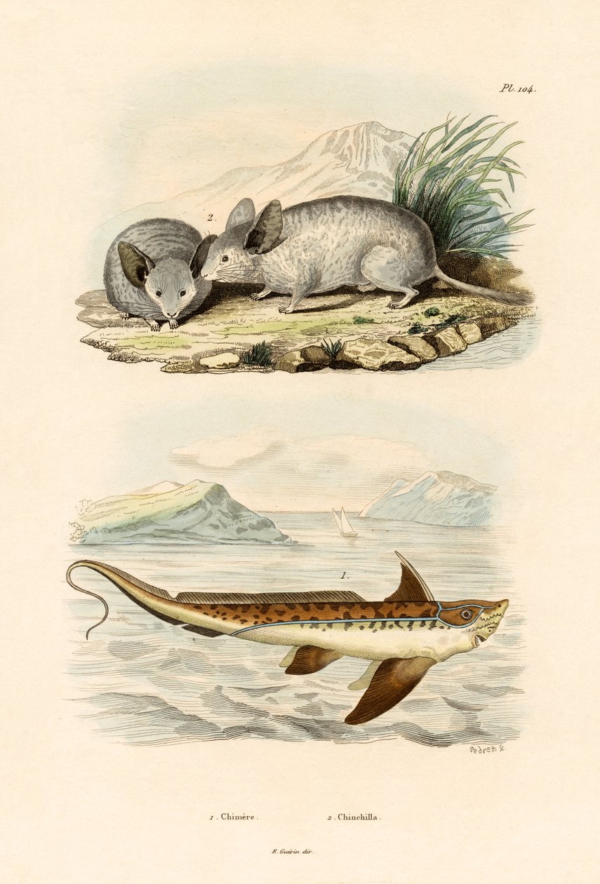 Chimaera, 1833-39 od French School