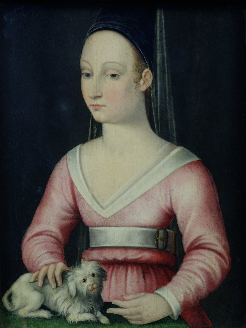 Portrét Agnes Sorel od French School