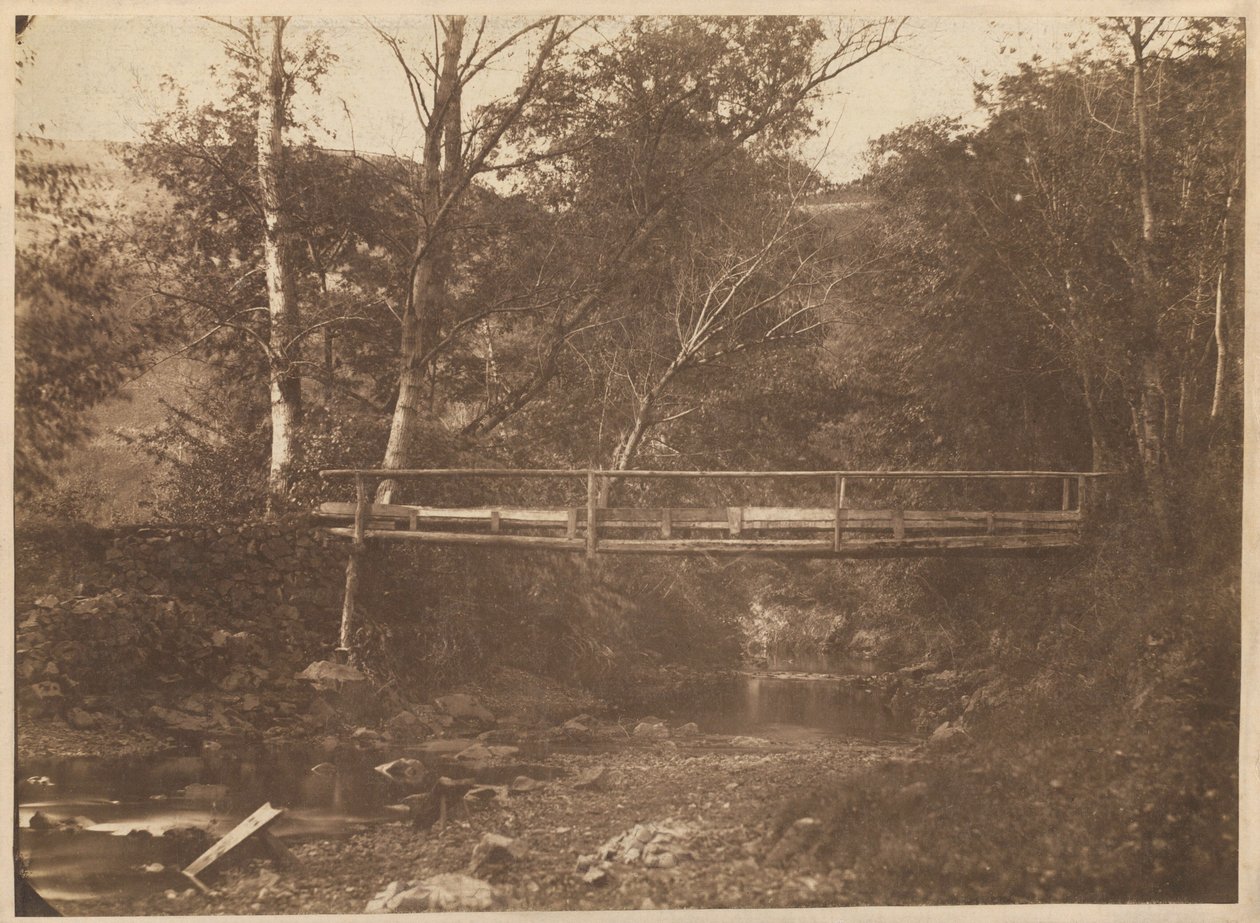 Krajina se stromy a mostem,c. 1850 (foto) od French Photographer