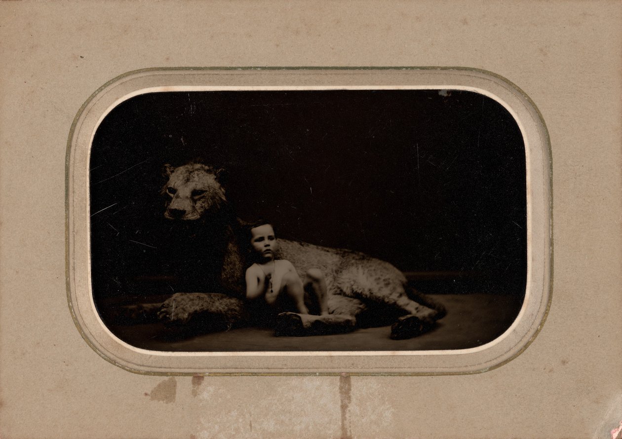 Portrét dítěte, cca. 1860 (foto) od French Photographer