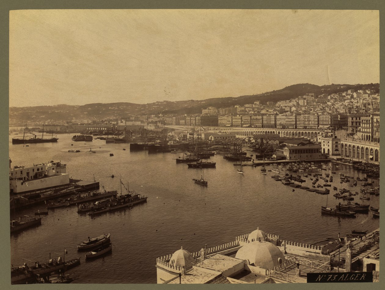 Pohled na Alžír, c.1860-1900 od French Photographer