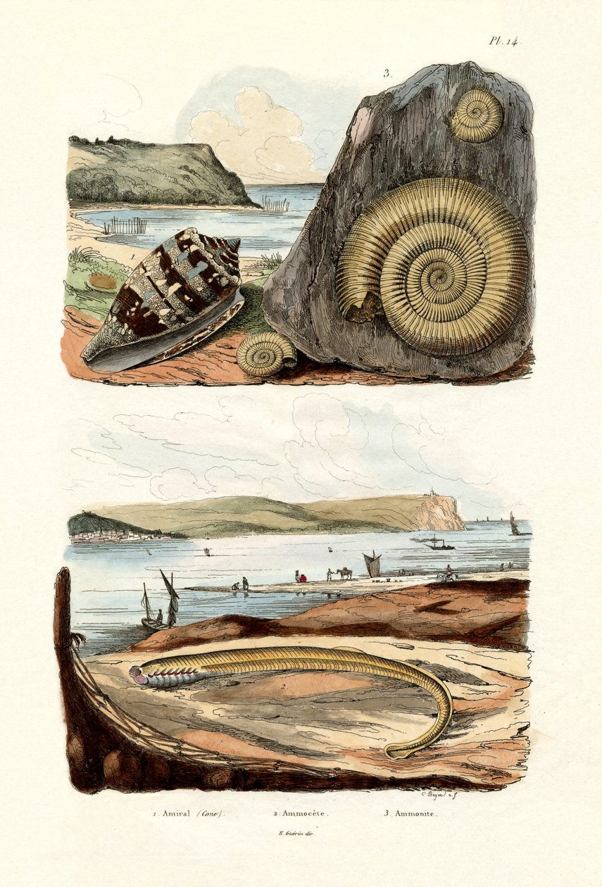 Admirál Cone, 1833-39 od French School