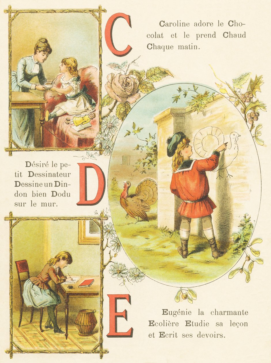C D E: Čokoláda, Navrhovatel, Turecko od French School