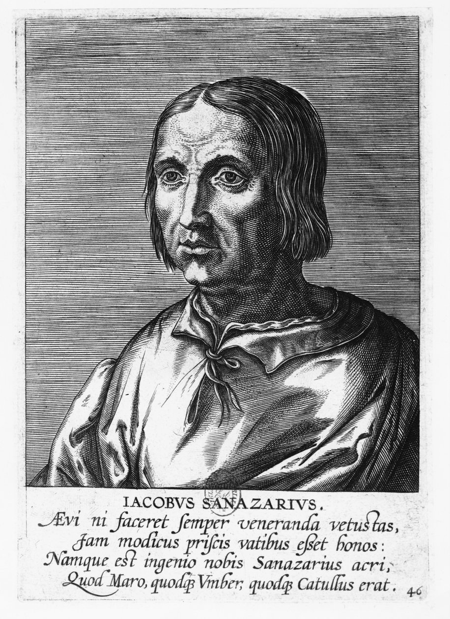Jacopo Sannazaro (rytina) od French School
