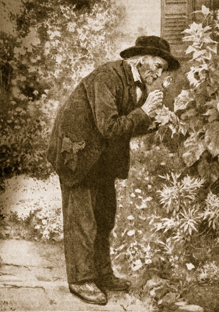 Jean-Henri Fabre pozorující hmyz od French School